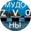 Иконка канала